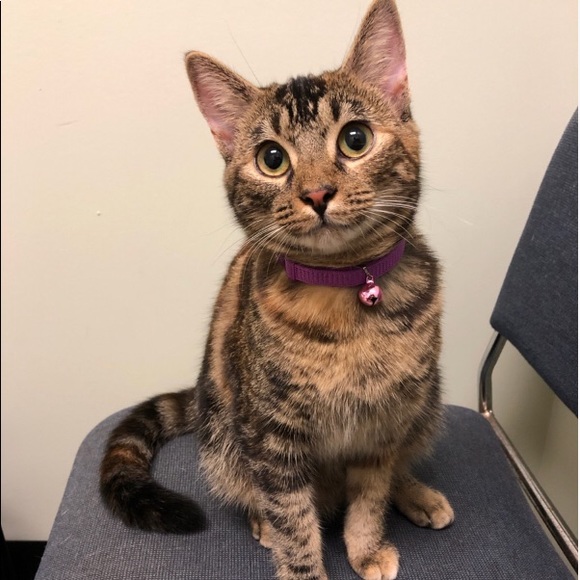 Meet the Posher! - Picture 2 of 3